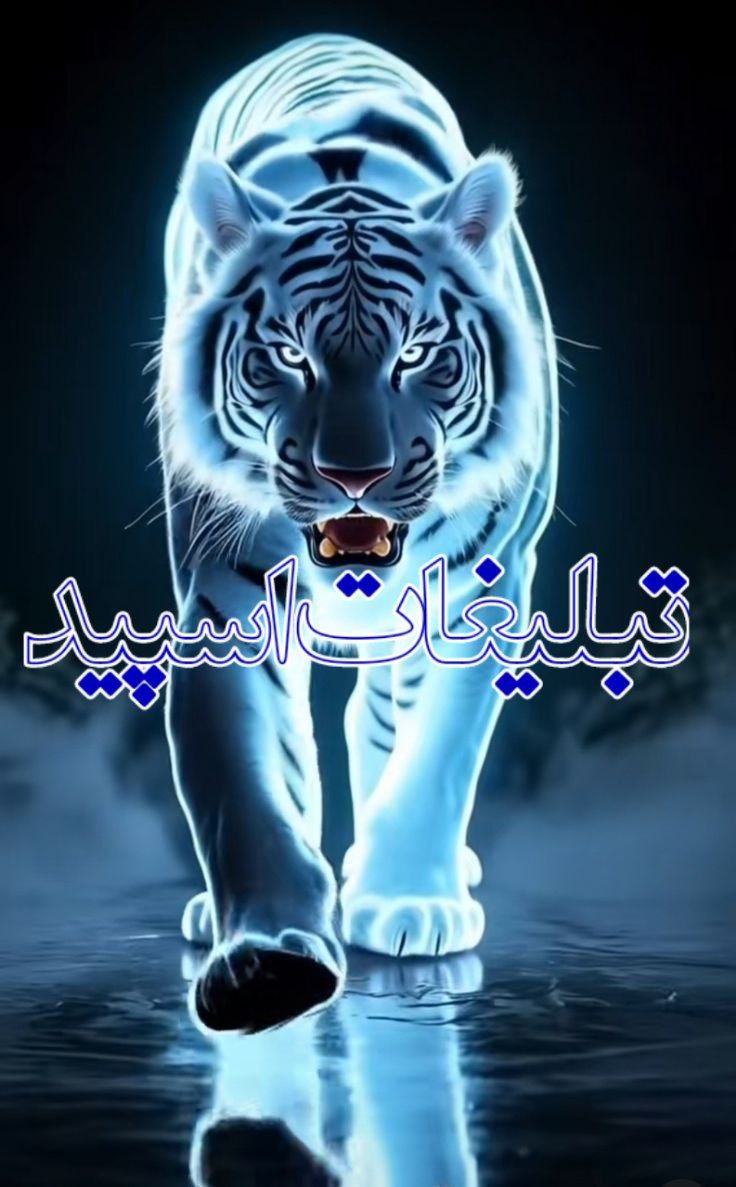 💎✨ 🌸 [دورهمی الماس] 🌸 ✨💎