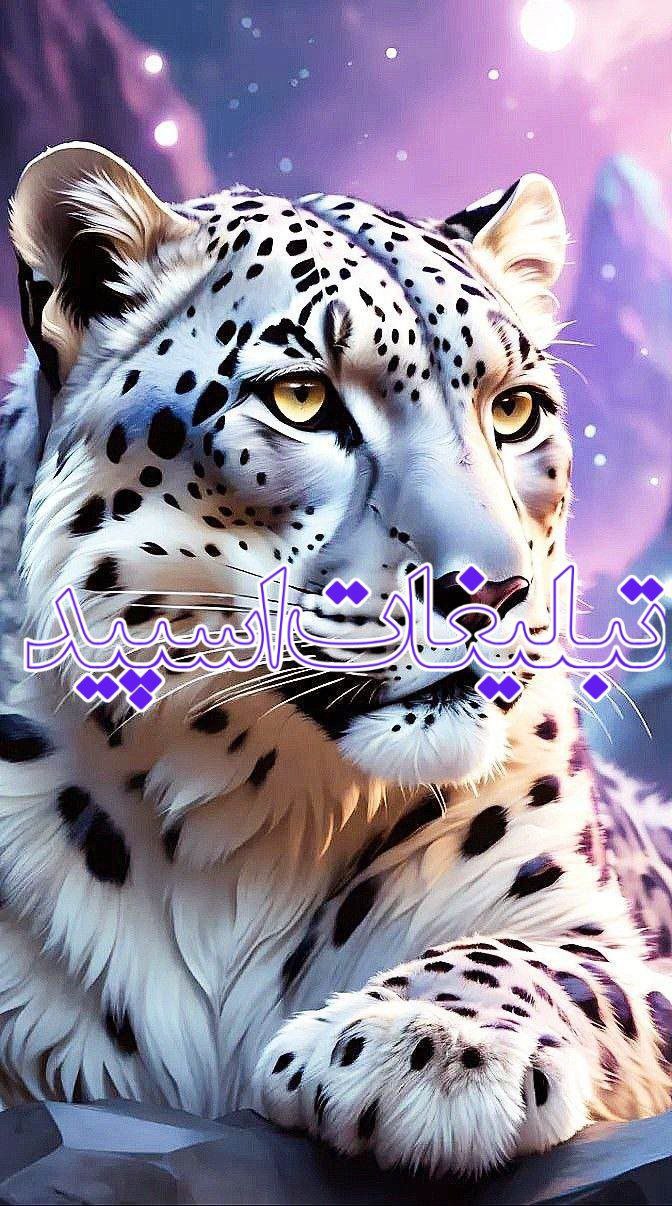 وایلد ولف (149)