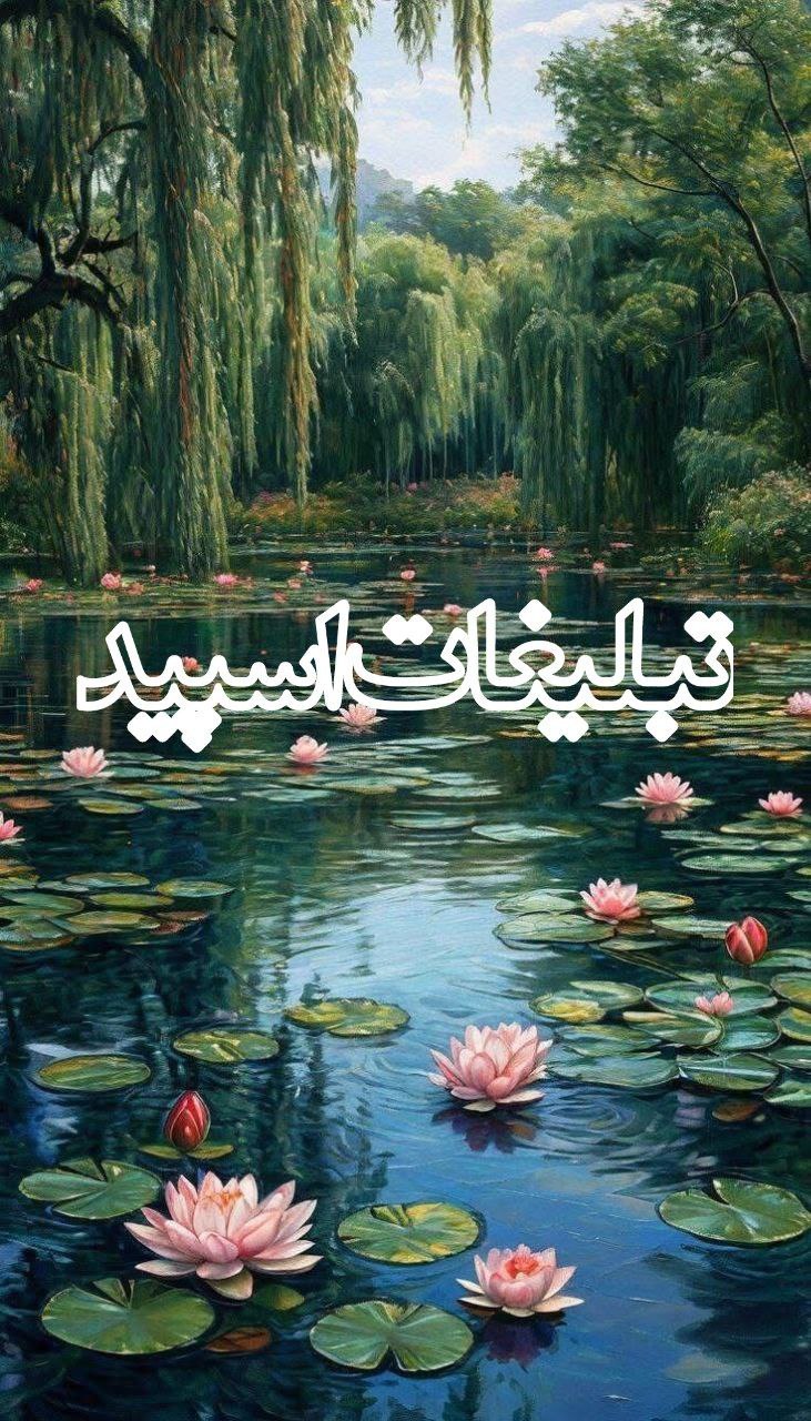 وایلد ولف (54)