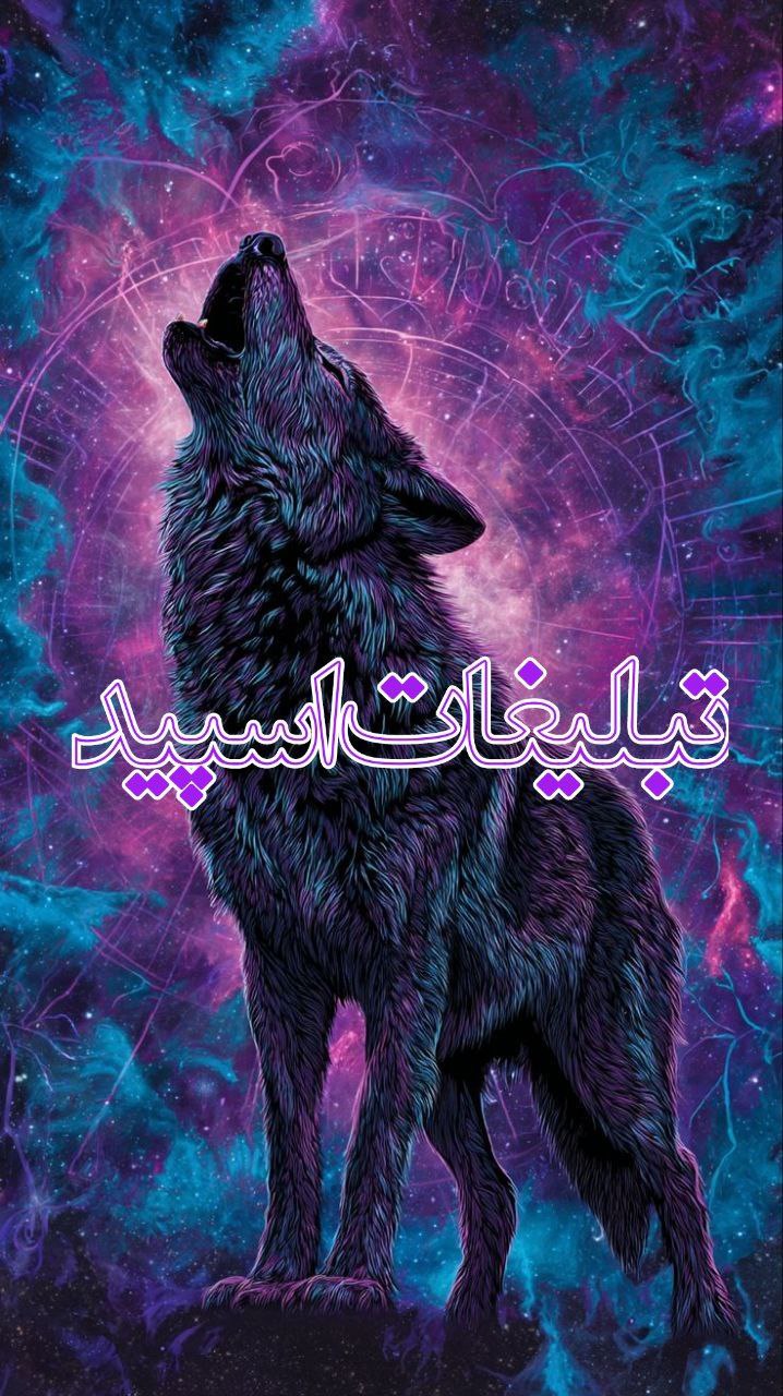 دورهمی دوستانه (10)